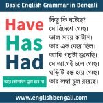 Have Has Had - English Grammar in Bengali