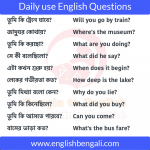 Basic English Questions and Answers