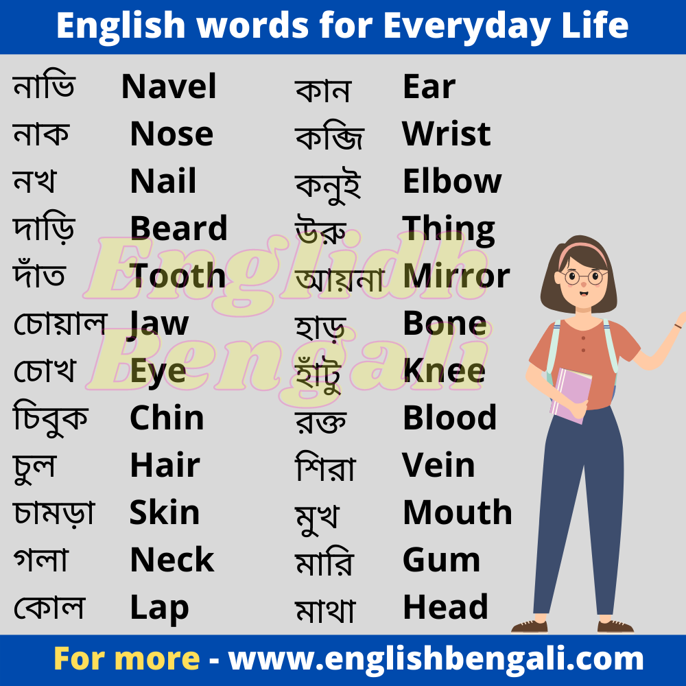 English to Bangla Meaning of jaw - চোয়াল